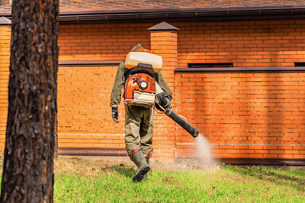 Bed Bug Clearance Verification and Documentation in Fort Irwin